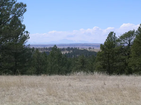 40909 Topaz Dr, Deer Trail, CO 80105