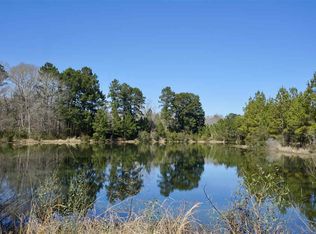 101 County Road 4645 E, Broaddus, TX 75929
