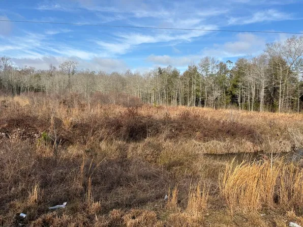 0 County Road 2212, Troy, AL 36079