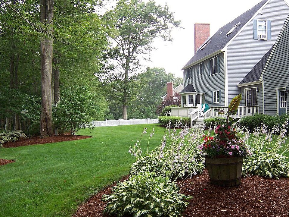 Backyard view
