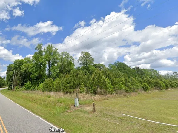 Parcel #1 Amber Ln., Galivants Ferry, SC 29544