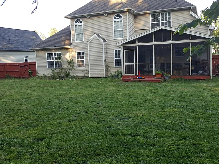 Backyard 2