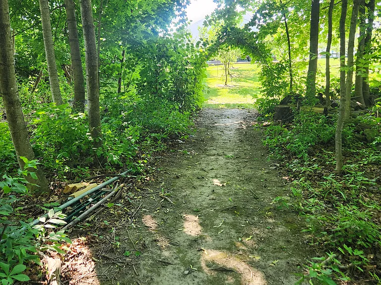 woods path and arbor