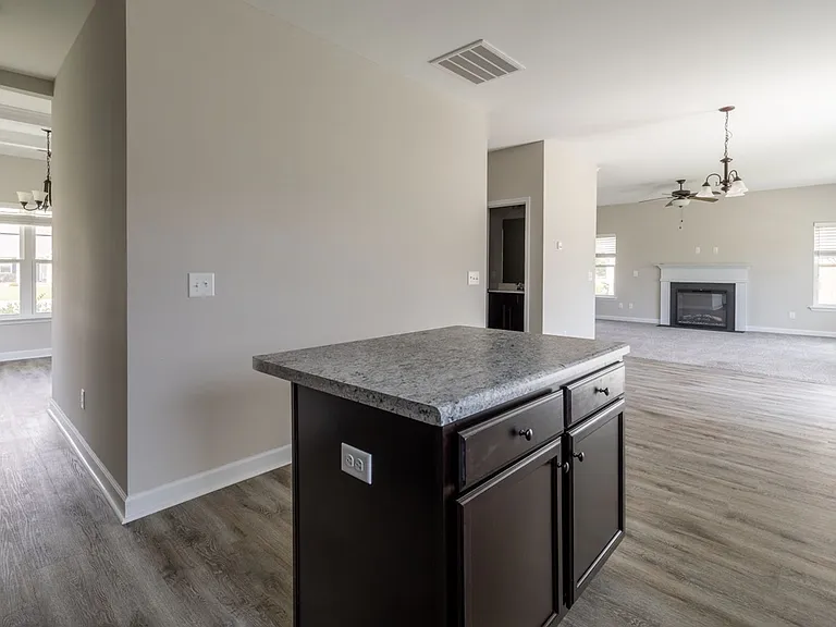 300 Waylon Way — Photo 11