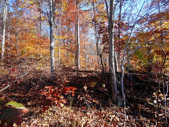 Beautiful hillside home site