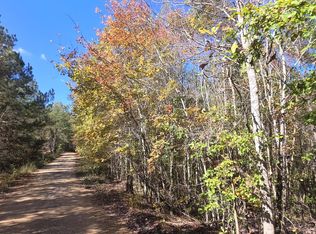 0 County Road 3022, Double Springs, AL 35553