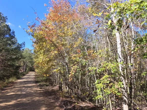 0 County Road 3022, Double Springs, AL 35553