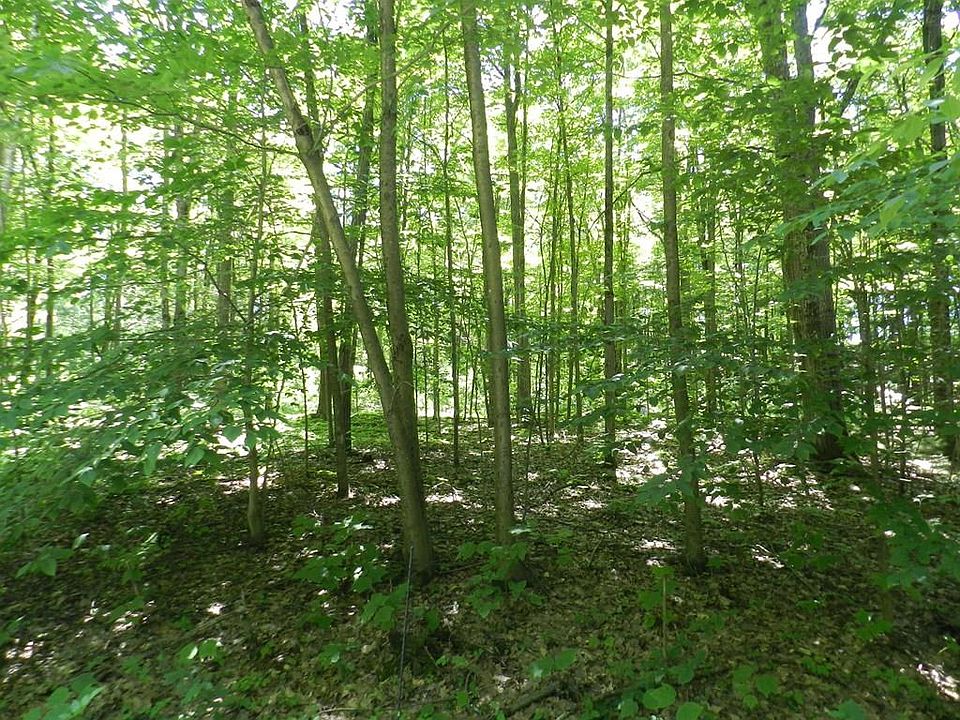 2nd image of 2153 Painter Run Rd