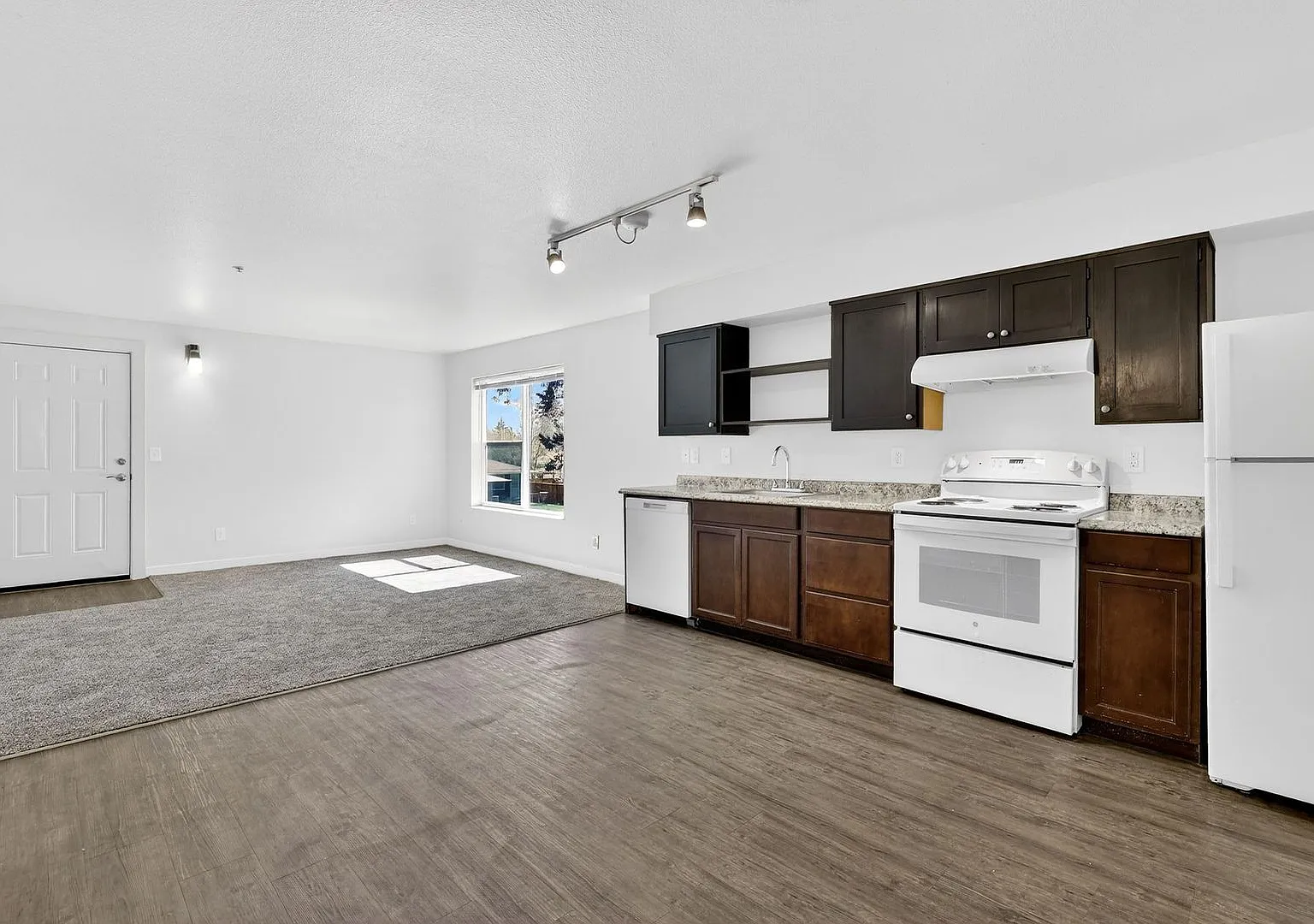 Irish Moss Apartments — Photo 3