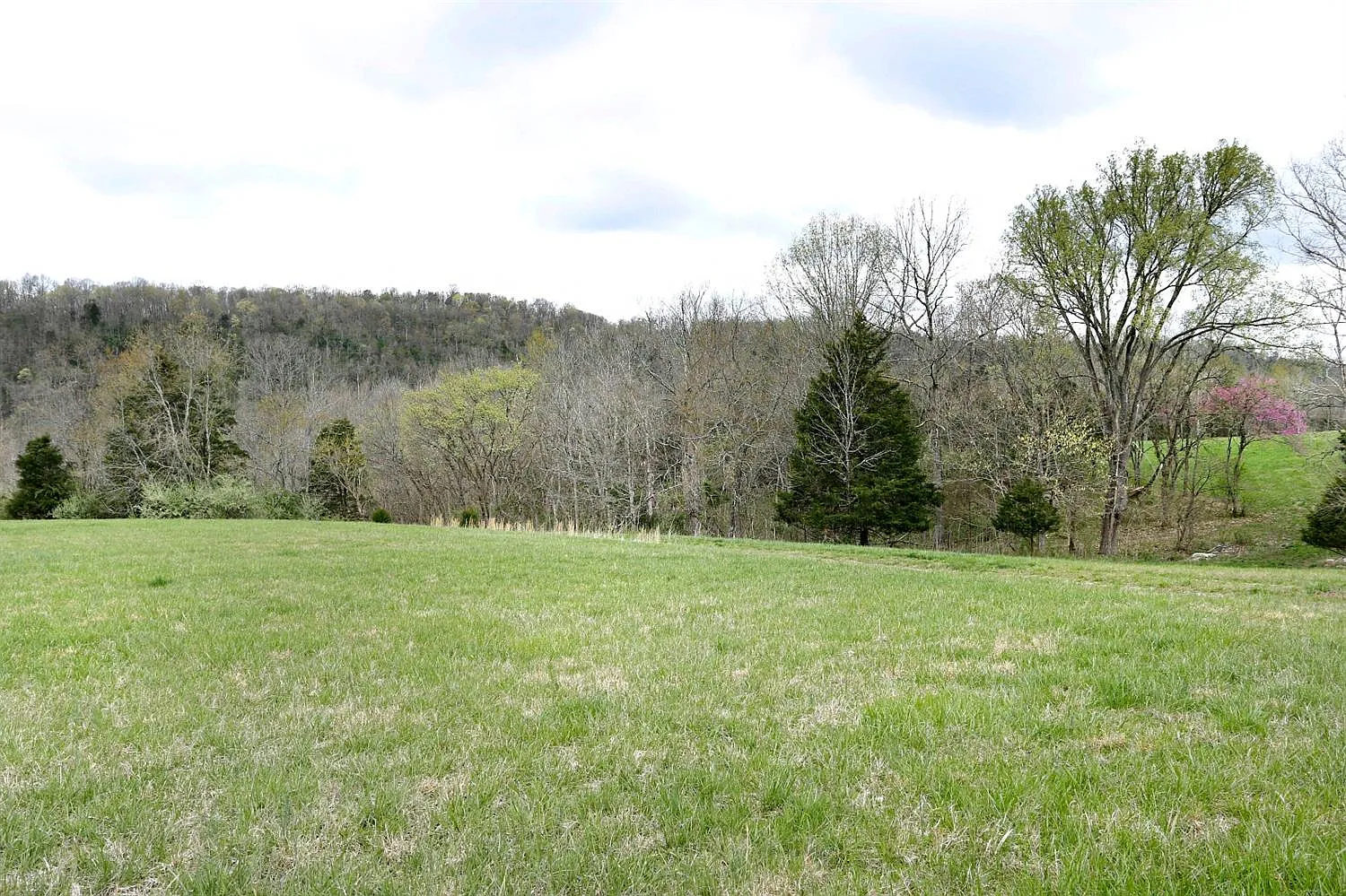 4505 Oregon Rd Lot B photo 1