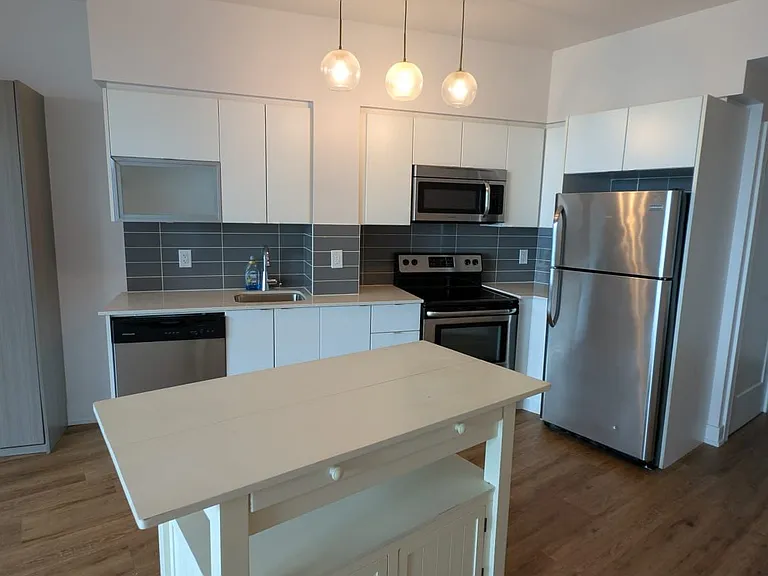 150 E Liberty St #1309 — Photo 8