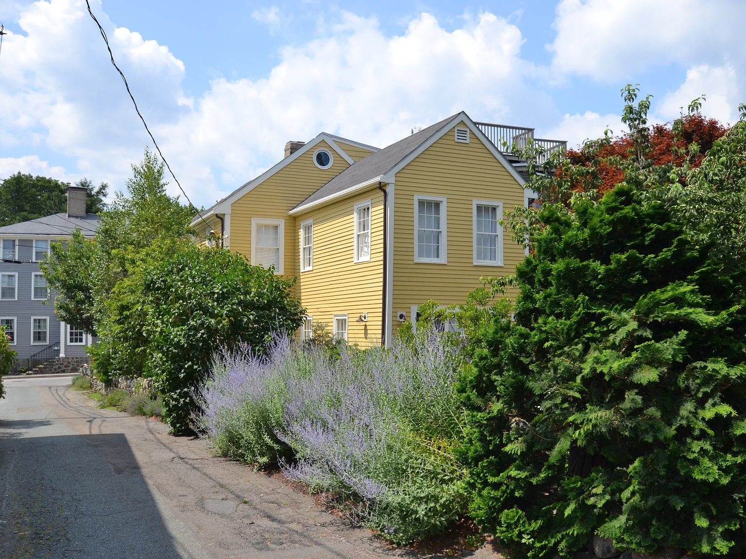 3 bed, 2.5 bath, 2000 sqft, $4,500 — Photo 2
