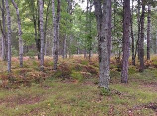 14114 Woodpecker Ln, Leroy, MI 49655