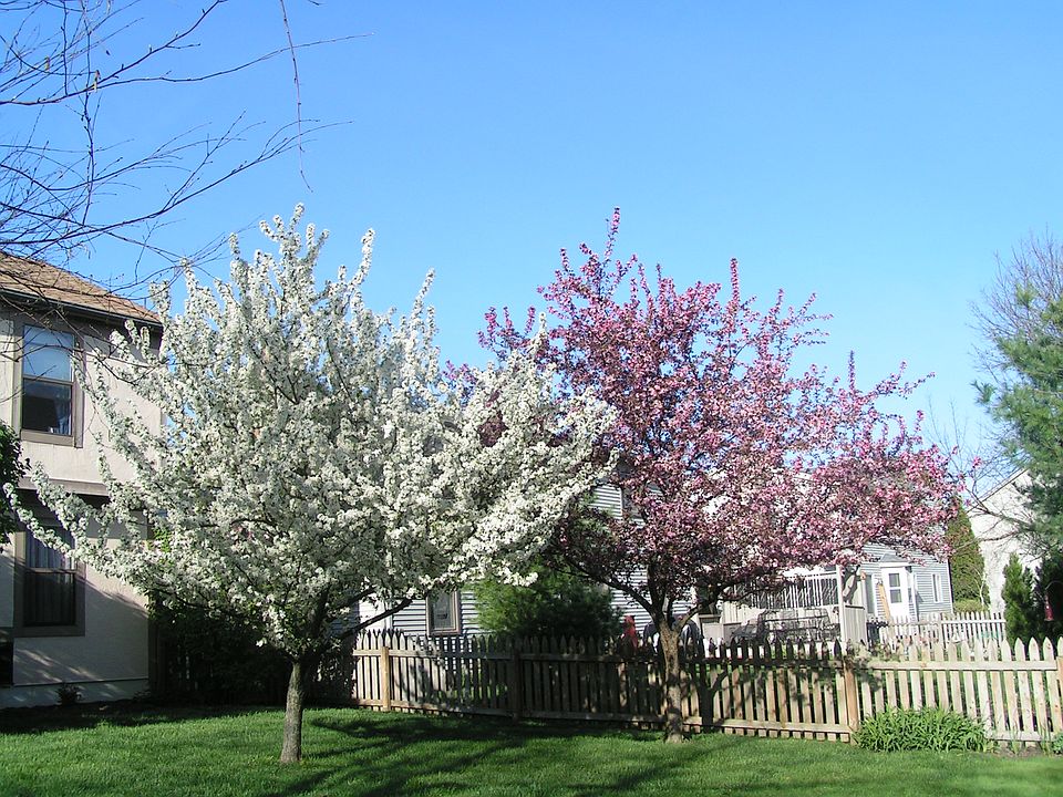 1st image of 2684 Westwind Ct