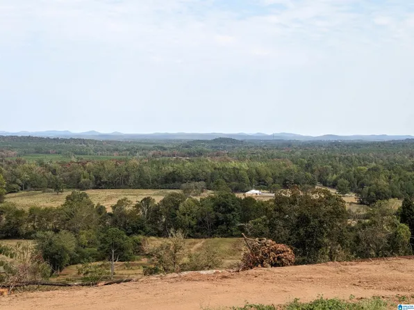 16091 Jackson Trace Rd Lot 0, Lincoln, AL 35096