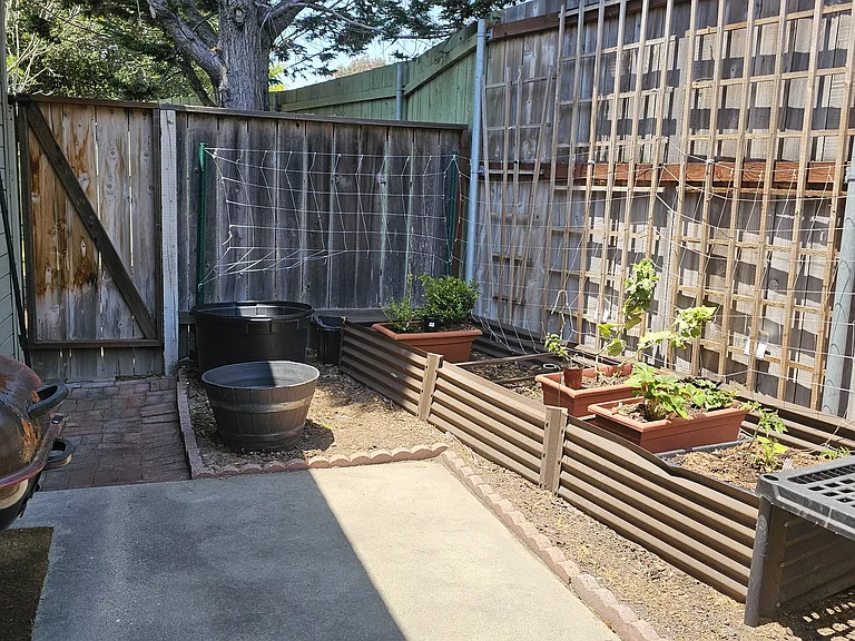 Constellation Rd — Photo 2