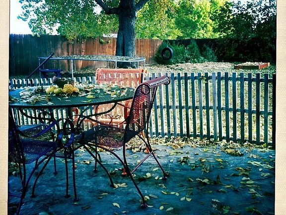 Back Patio 1