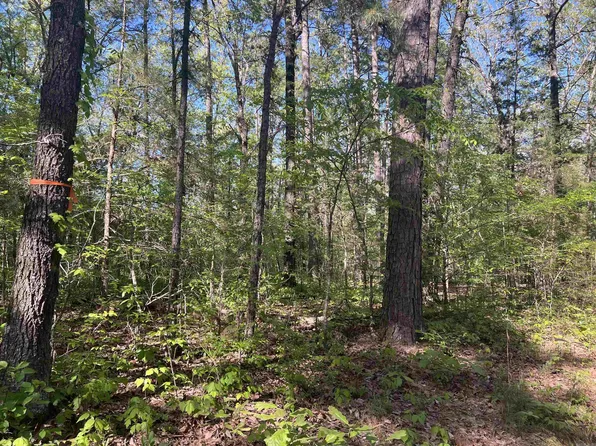 (undisclosed Address), Saint Joe, AR 72675