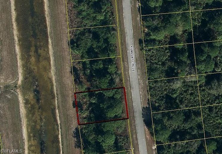 2nd image of 6061 Kumquat Cir