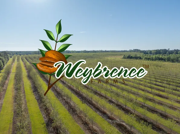 5927 Highway 93, Pelham, GA 31779