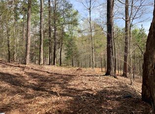 50 Green Wing Teal Way, Marietta, SC 29661