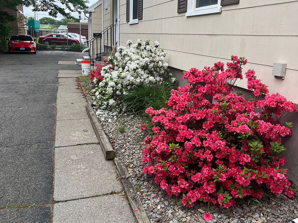 Walking up driveway towards the entryway