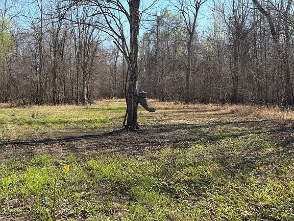 5th image of Misty Creek Rd