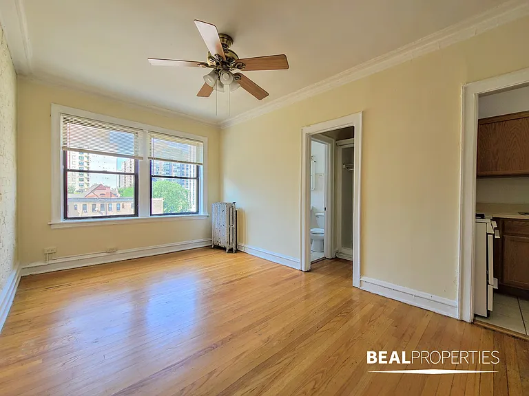 1164 North Dearborn Street — Photo 10