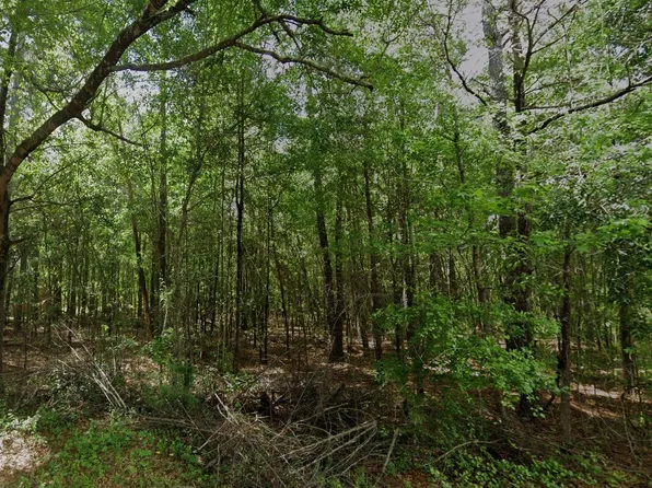 Long Branch Rd, Greeleyville, SC 29056
