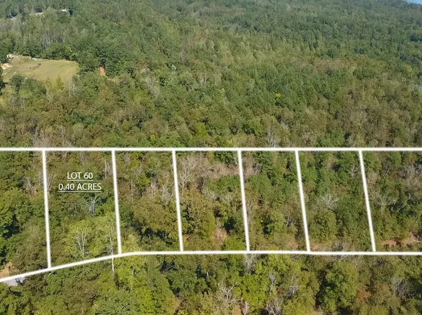 LOT 60 Peninsula Way, Houston, AL 35572