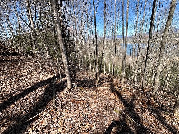 2nd image of Brer Fox Ridge Rd