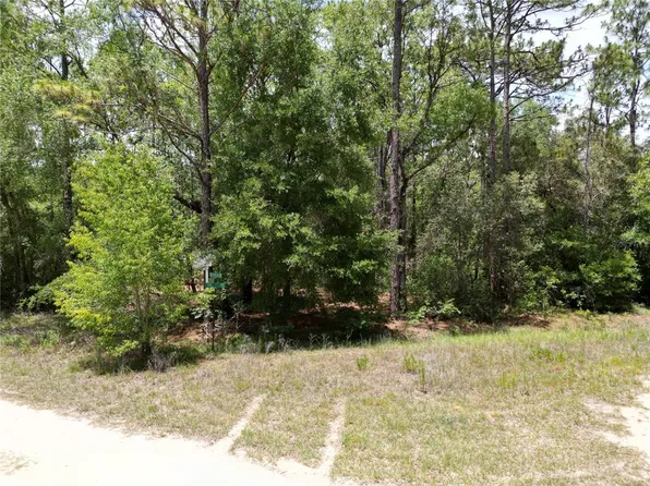 0 SW 159th Ave Lot 12, Ocala, FL 34481