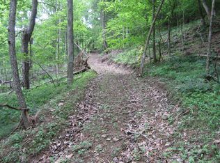 Altizer Rd, Arnoldsburg, WV 25234