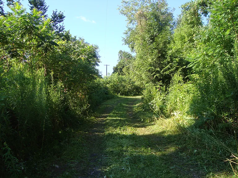 Wenzels Ln — Photo 7