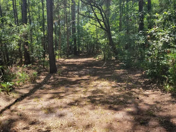 7991 Little Britton Rd, Hollywood, SC 29449