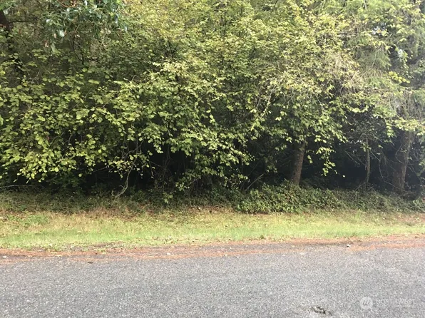 10415 105th Street Court, Anderson Island, WA 98303
