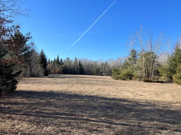 Vacant Land M 76, West Branch, MI 48661