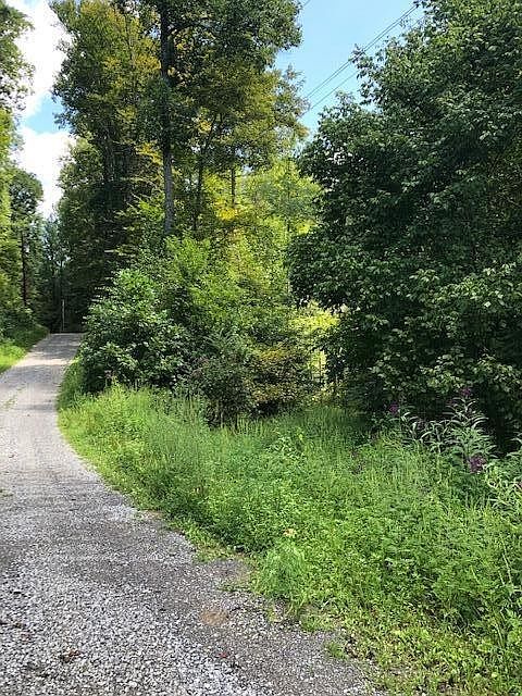 2nd image of 0 Overlook View Rd