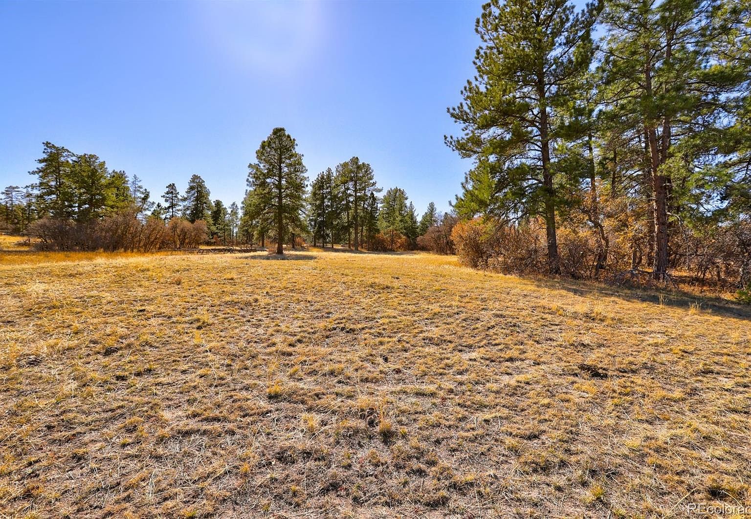 1575 Arrowpoint Court, Franktown, CO 80116 | Zillow