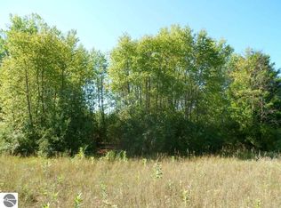 1001 Peninsula Dr, Lake Isabella, MI 48893