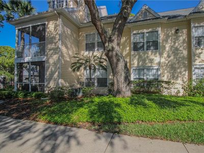 3325 Haviland Ct APT 202, Palm Harbor, FL, 34684