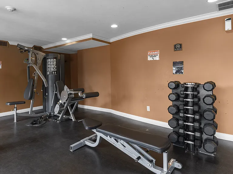 Machines, Benches, and Free Weights