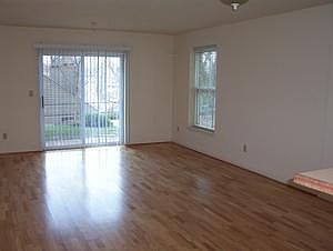 5th image of 1203 Wertland St APT 6