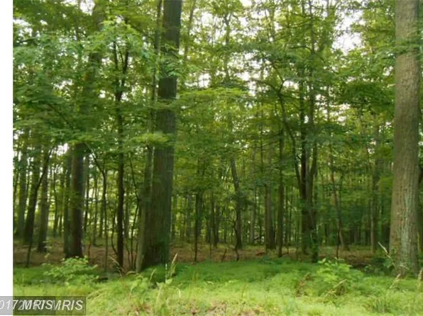 Boonsboro Mountain Rd, Boonsboro, MD 21713