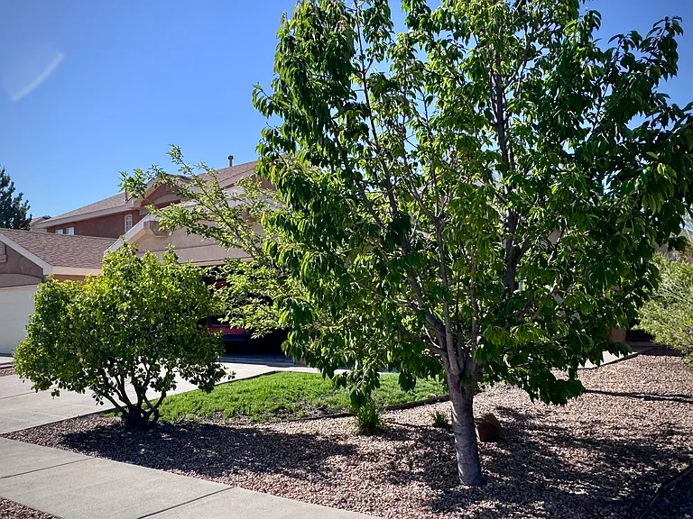 Private front yard
