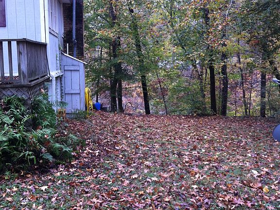 Side yard