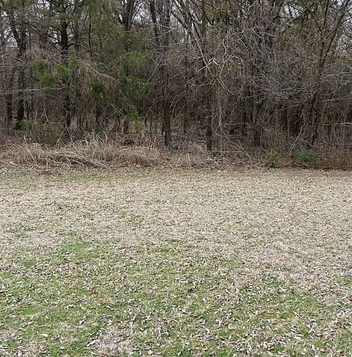 1st image of Rhonda Cir