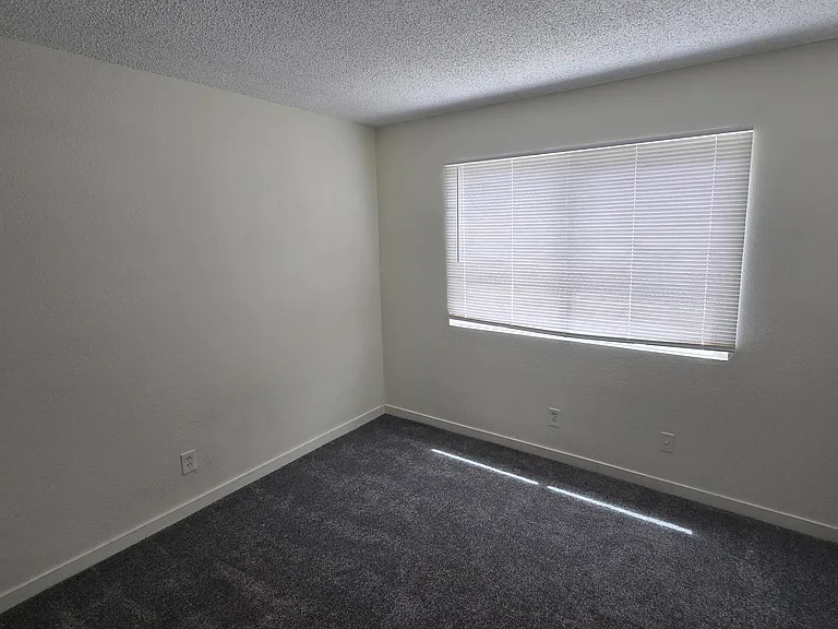 1447 N 53rd Dr — Photo 19
