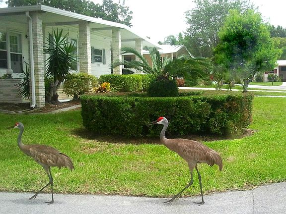 SUPER NICE NEIGHBORS