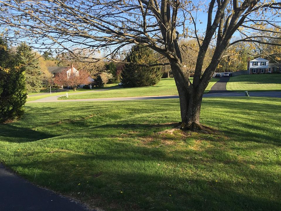 Large 3/4 acre yard